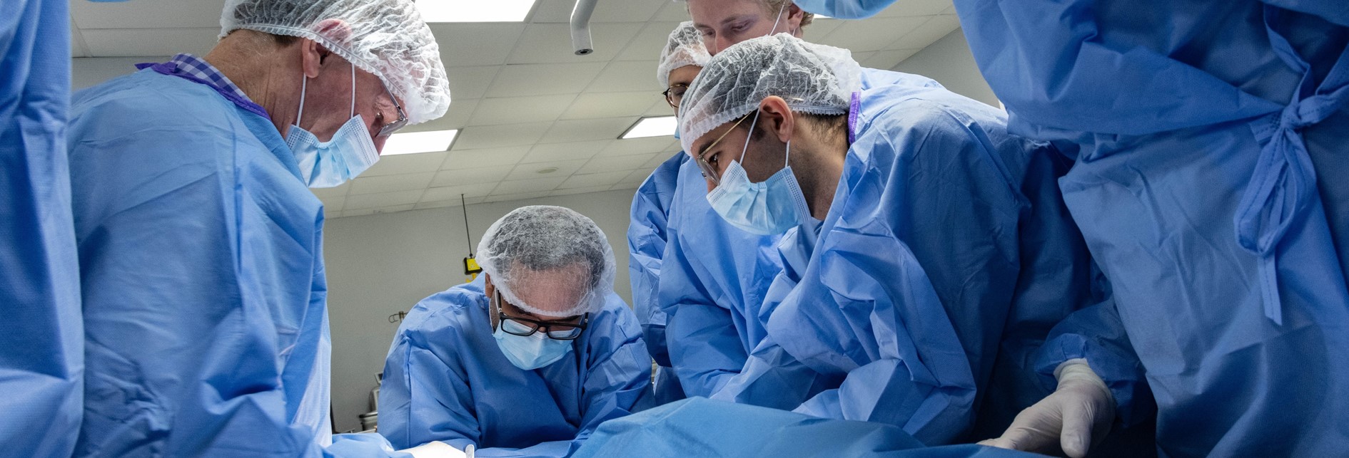 surgeons in blue overalls examining something outside of the photo